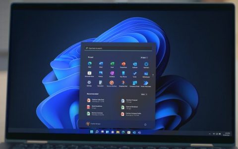 Windows 11臭虫造成HDR屏幕无法正确显示色彩