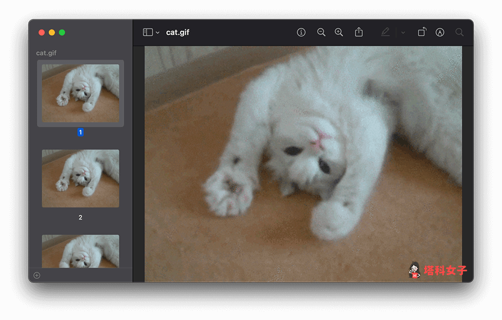 Mac 预览程序无法播放 GIF 动图