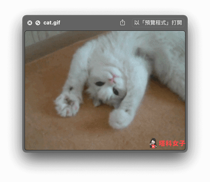 Mac 播放 GIF 动图：按空白键