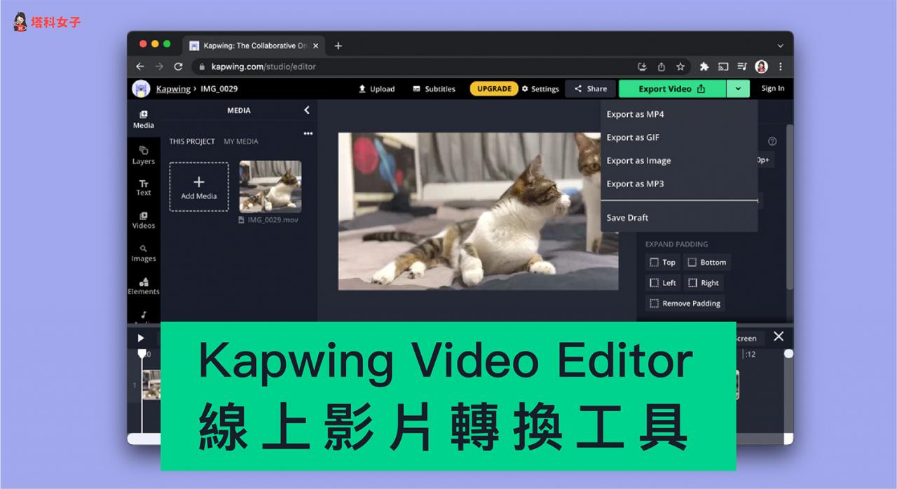 Kapwing 在线视频编辑/转换工具，将视频转MP3、MP4、JPG、GIF