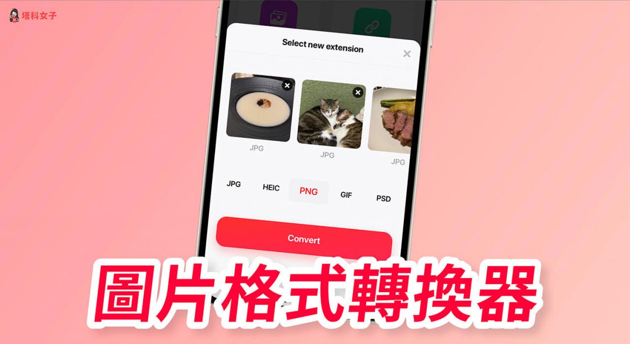 图像格式转换器 App 将任何照片转JPG/PNG/PDF/GIF/PSD/SVG 格式 （iOS/Android）