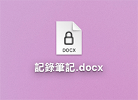 Mac Word 加密码保护