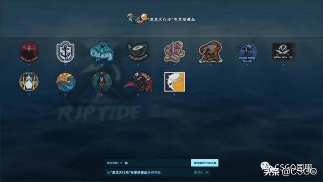 csgo激流大行动大师级探员怎样(csgo激流大行动探员特殊语音)  第103张