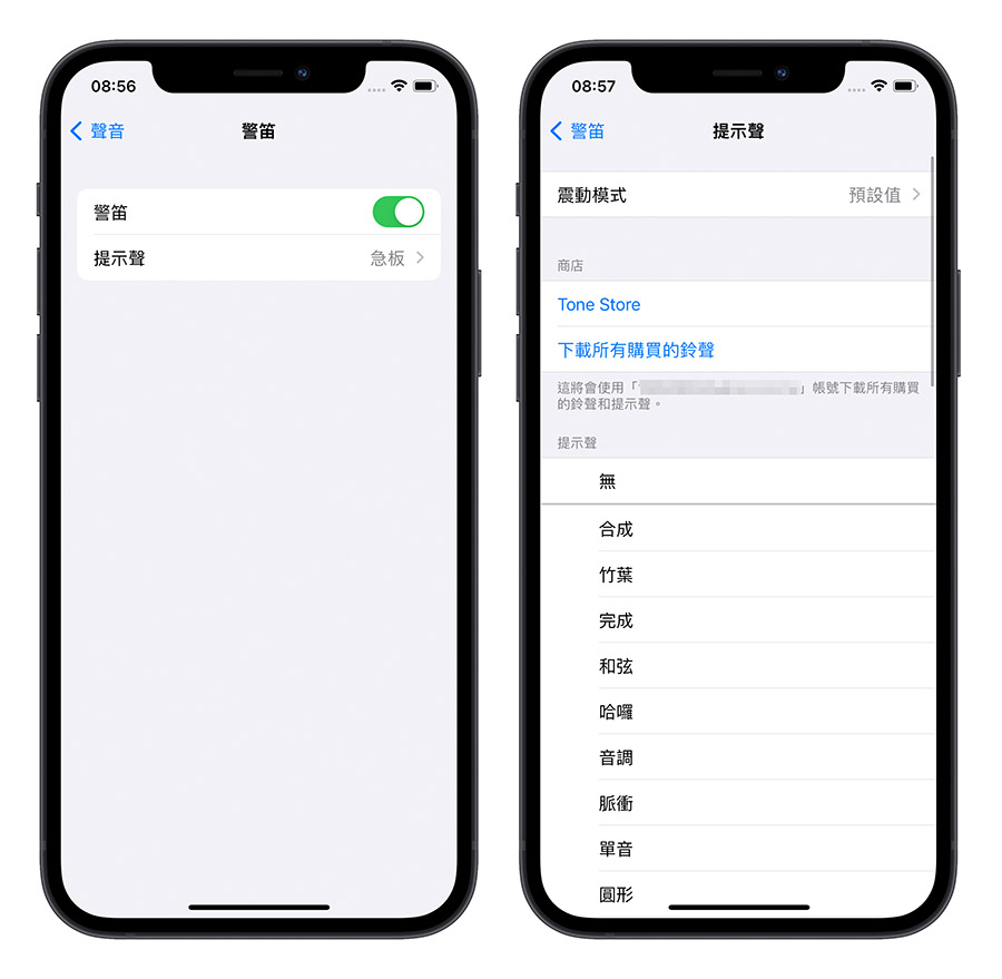 iPhone 声音辨识