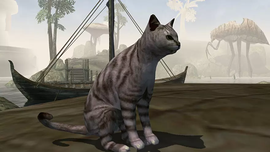 玩家将爱猫置入《上古卷轴》成为冒险伙伴，协助孩子鼓起勇气面对可怕怪物