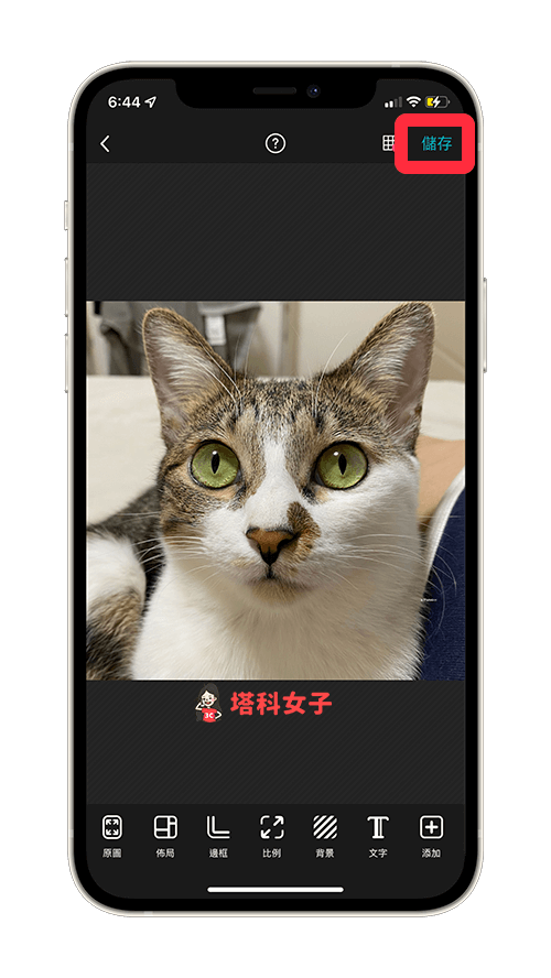 照片裁切App《PhotoGrid》裁剪圆形、方形、爱心等各种形状与比例-Android APP，iOS APP，iPhone照片，照片App，照片编辑App，照片裁切App -塔科女子