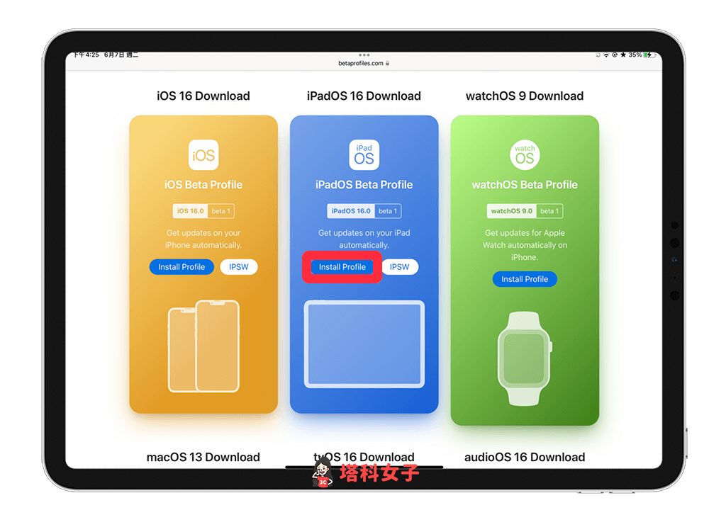 下载 iPadOS16 Beta Profile