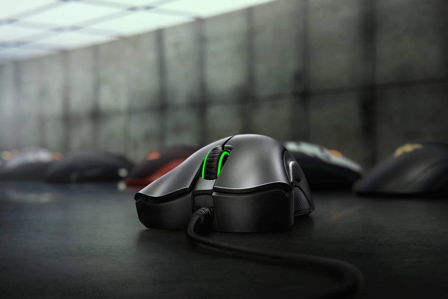 Razer宣布旗下Basilisk V3以及DeathAdder Essential是首款得到ECOLOGO认证的电竞滑鼠！以电竞的方式来庆祝世界环境日！