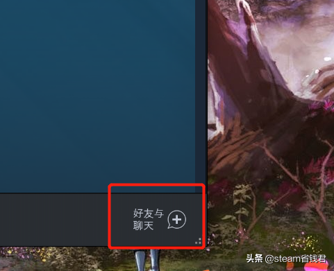 steam好友（steam怎么加好友）  第2张