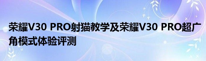 荣耀V30 PRO射猫教学及荣耀V30 PRO超广角模式体验评测