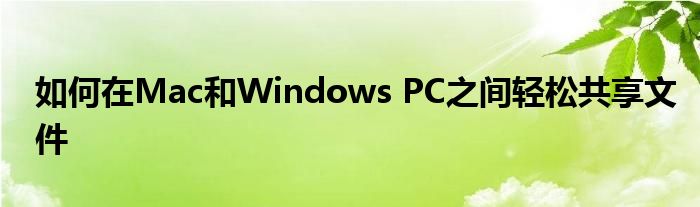 如何在Mac和Windows PC之间轻松共享文件