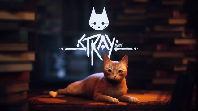 PS5限定！ 猫咪神Game《Stray》隐藏超强机能：完美模拟猫猫酣睡的震动与鼻息