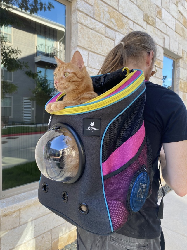 猫猫游戏《Stray》服装实体化！ 同款电玩胸背带与联名猫咪太空旅行背包确认商品化！