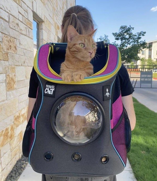 猫猫游戏《Stray》服装实体化！ 同款电玩胸背带与联名猫咪太空旅行背包确认商品化！