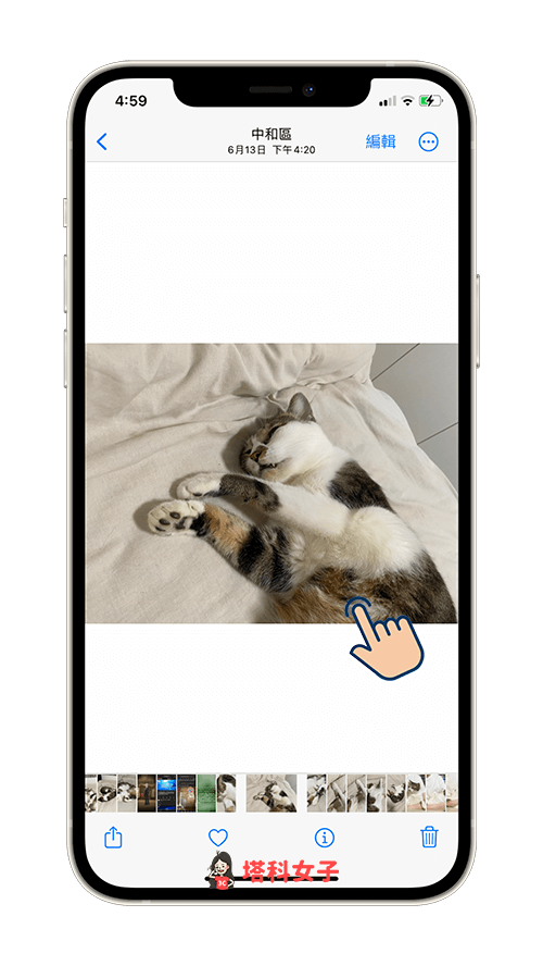 iOS 16 为 iPhone 照片抠图去背：长按照片主体