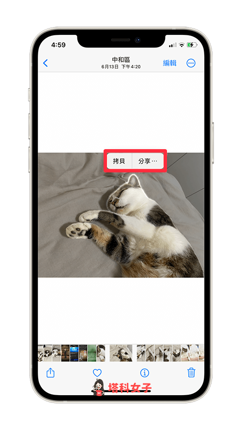 iOS 16 为 iPhone 照片抠图去背：拷贝或分享