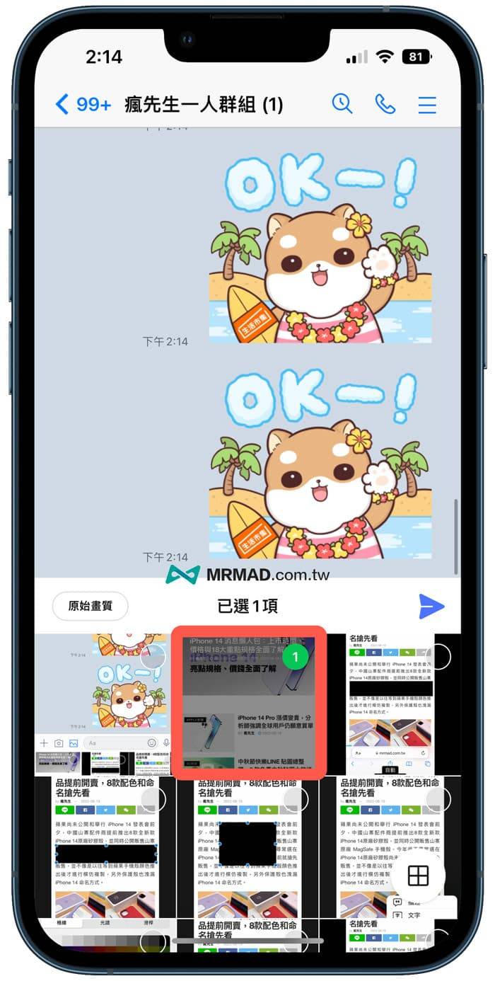 如何替iPhone照片或图片打卖赛克5