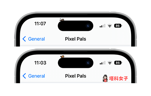 iPhone 动态岛养猫咪或狗狗