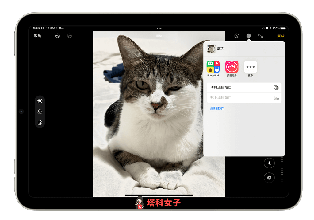 iPadOS 16 功能：照片批量调色