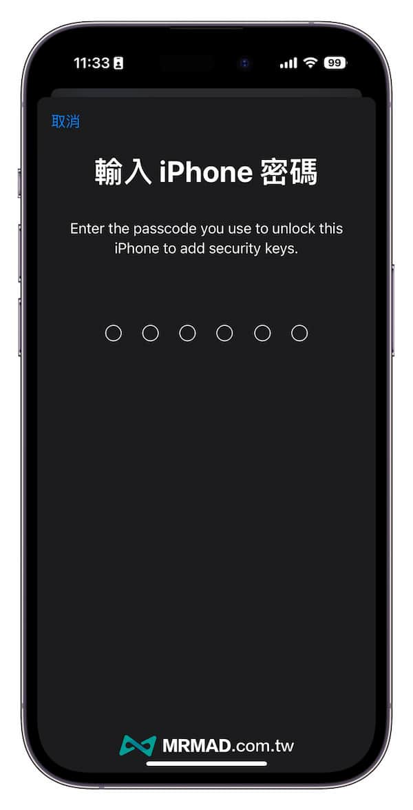 输入 iPhone 解锁密码