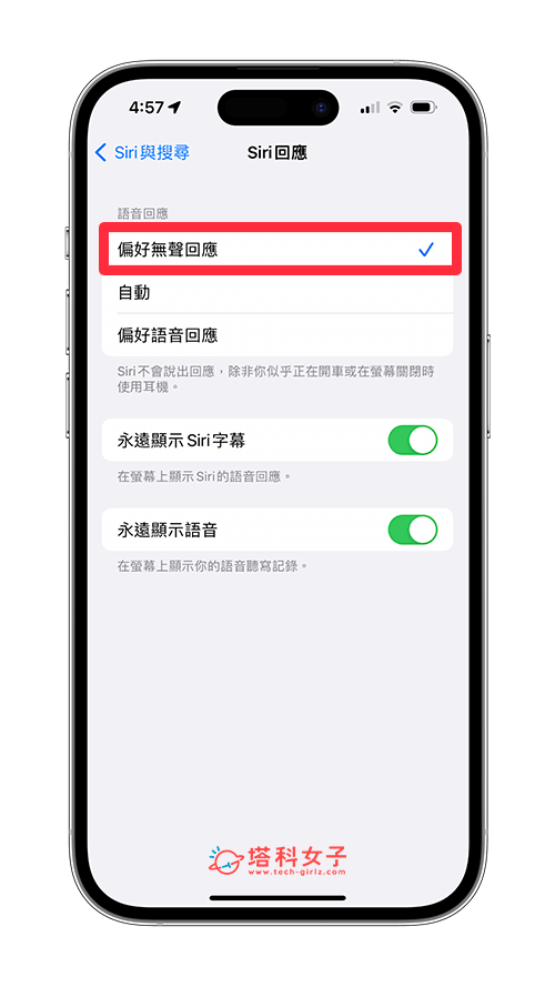 iOS 16.2 更新功能 8：Siri 无声响应