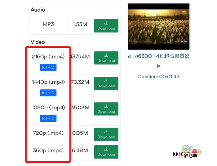 免安装、免费 Youtube视频、音乐下载工具-02