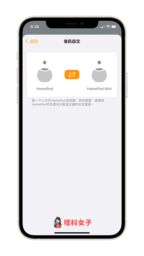 HomePod / HomePod Mini 立体声：确认左右声道