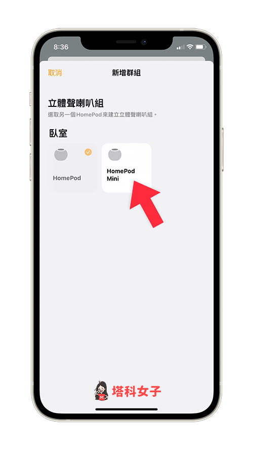 HomePod /HomePod Mini 立体声：点选另一部HomePod