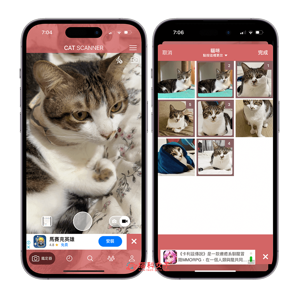 猫咪鉴定器App介绍与教学：拍照或上传照片