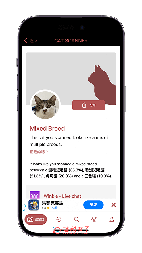 猫咪鉴定器App介绍与教学：鉴定结果