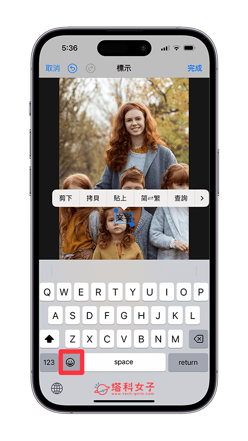 iPhone 照片加表情符号教学，为照片加上 Emoji 遮脸 - Emoji， iPhone 表情符号， 表情符号， 表情符号键盘 - 塔科女子