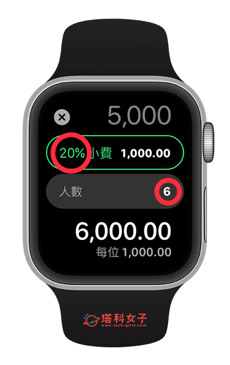 Apple Watch 功能：计算机小费