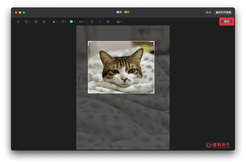 使用「照片」编辑工具为 Mac 裁切图片：裁切