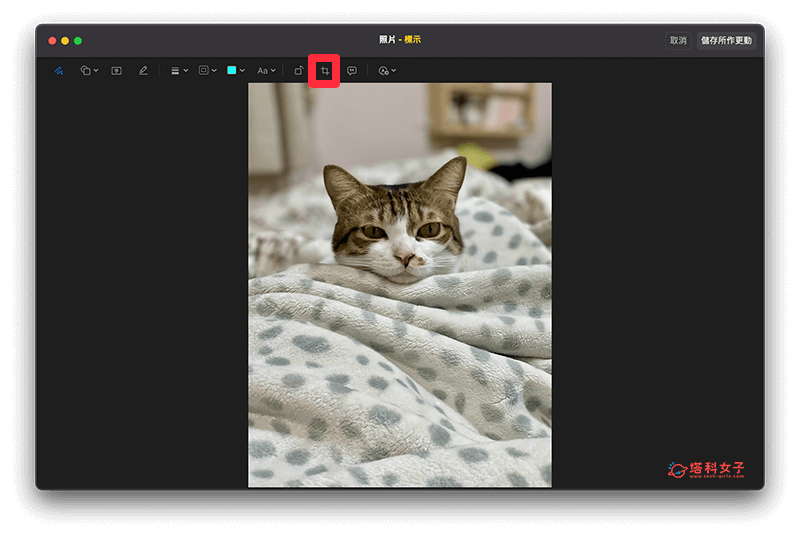 使用「照片」编辑工具为 Mac 裁切图片：选择裁切工具