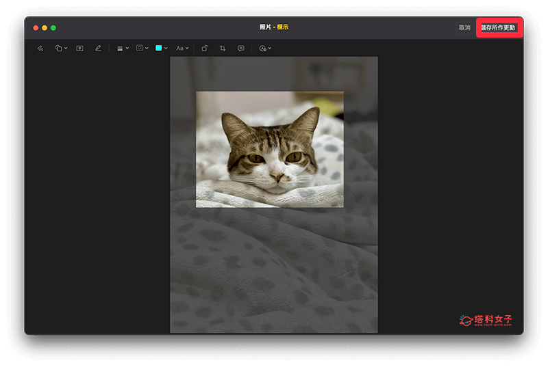使用「照片」编辑工具为 Mac 裁切图片：存储所做更动