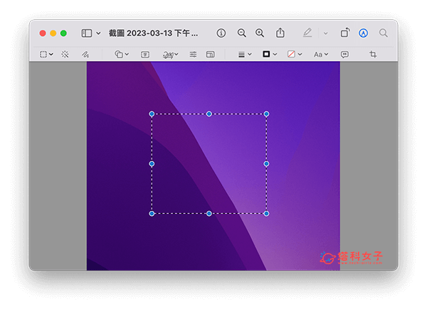 使用「预览程序」为 Mac 截图裁切：选取想保留的区域