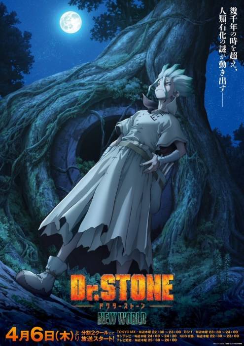 drstone