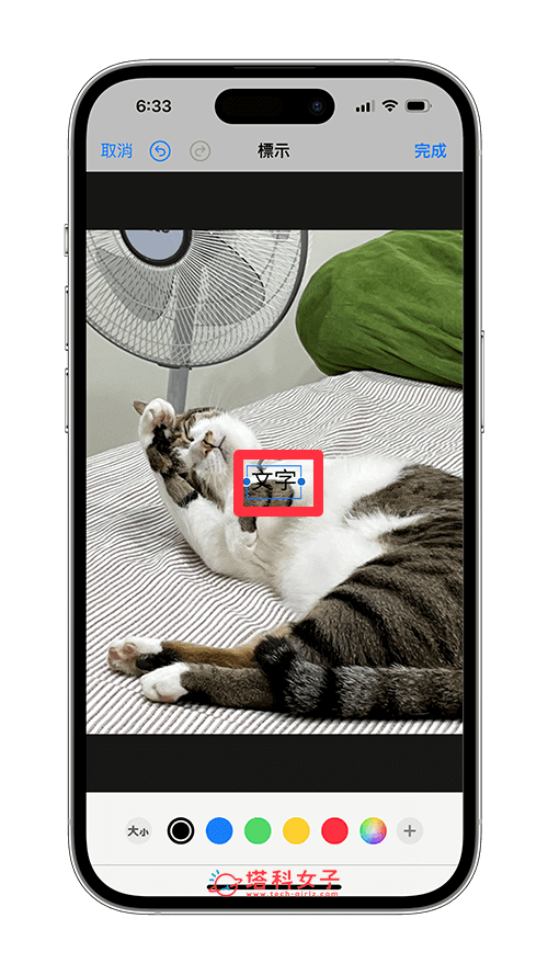 iPhone 照片加文字：點兩下文字方塊