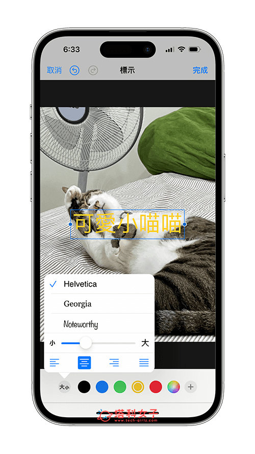 iPhone 照片加文字：更改文字字體或顏色與大小