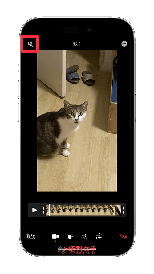 iPhone 视频声音复原回来：点一下左上角声音
