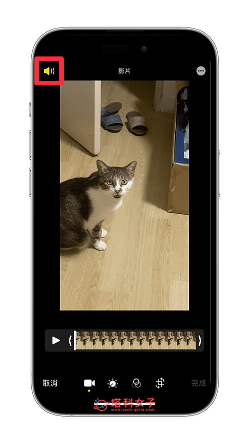 iPhone 视频去除声音：点左上角的声音关闭