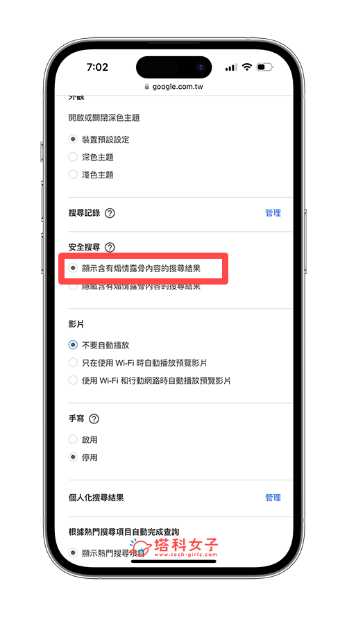 关闭 iPhone 网页的 谷歌 安全搜索功能：显示