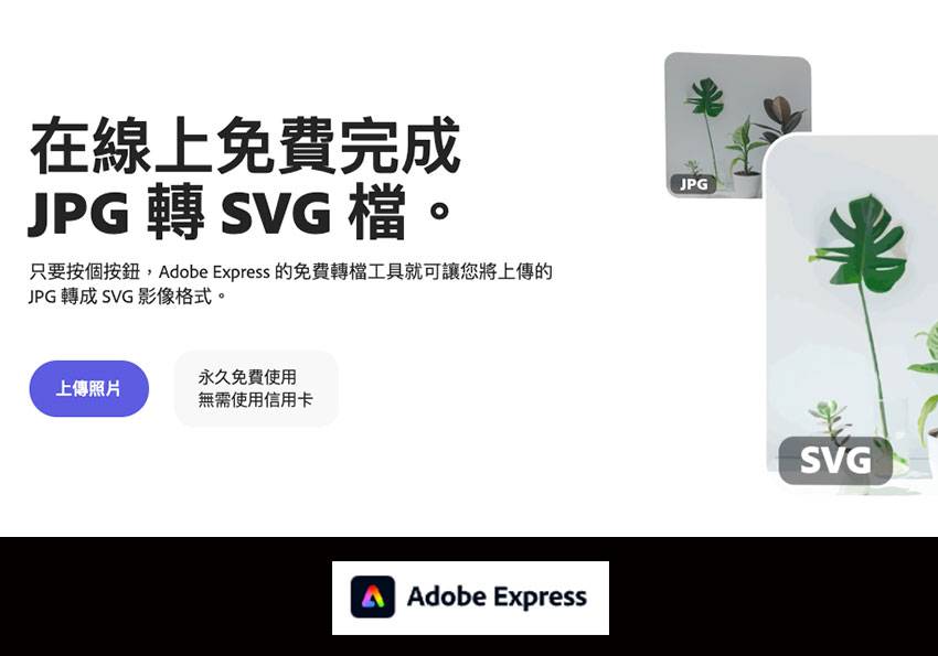 梅问题-JPG变身SVG！ 使用Adobe Express在线工具，将JPG图片变成SVG矢量格式