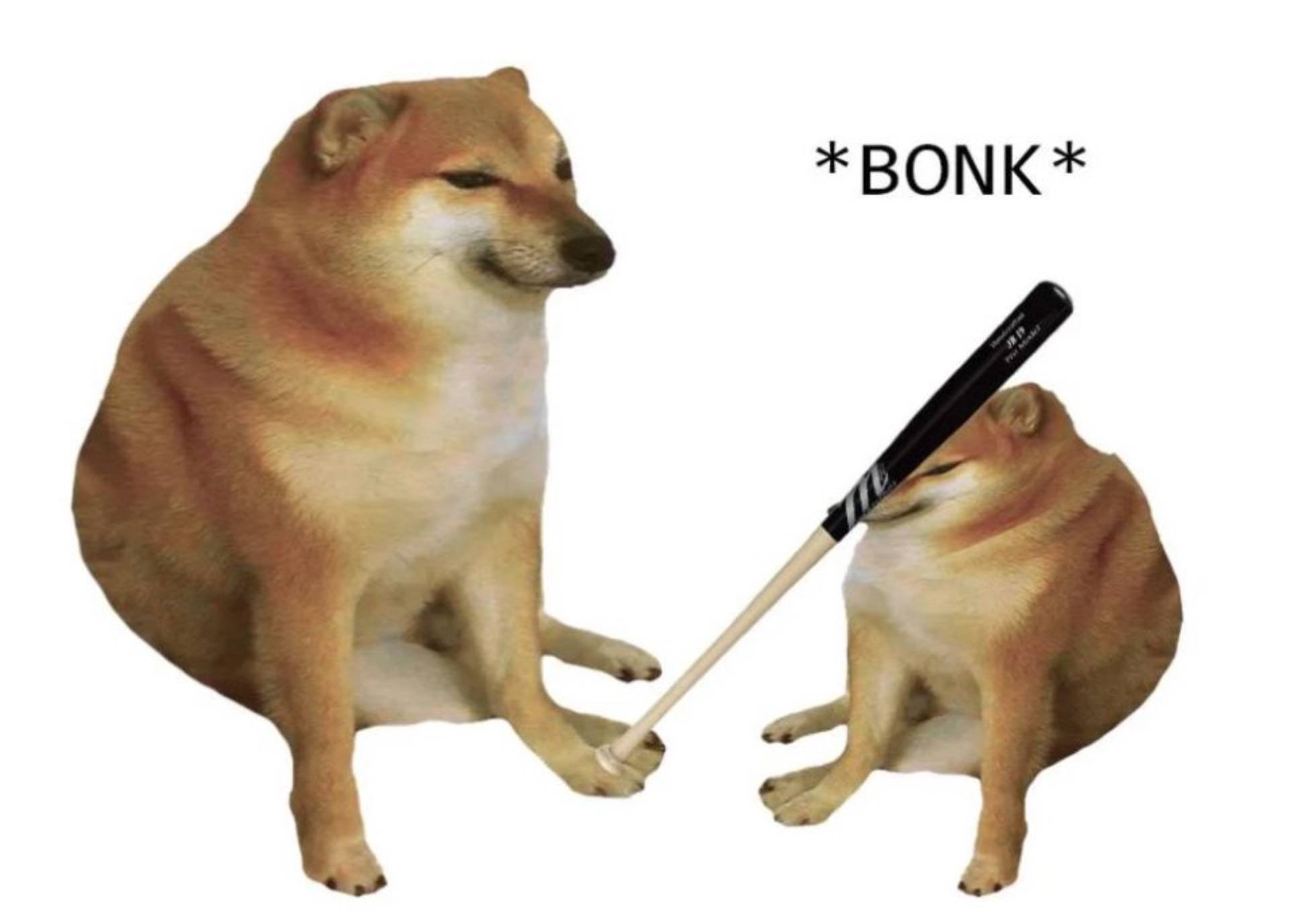 BONK肯定大家也是印象深刻