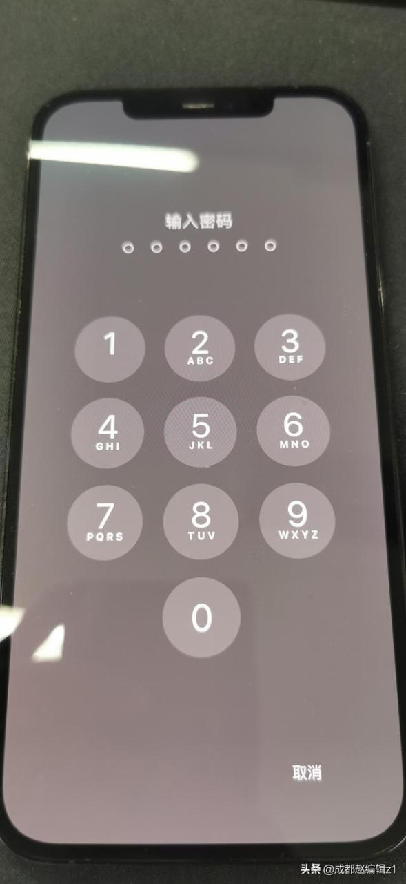 iphone 12 pro max白苹果怎么办(苹果12白苹果的简单修复方法)