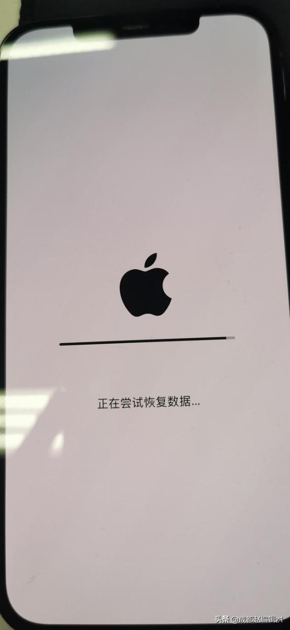 iphone 12 pro max白苹果怎么办(苹果12白苹果的简单修复方法)