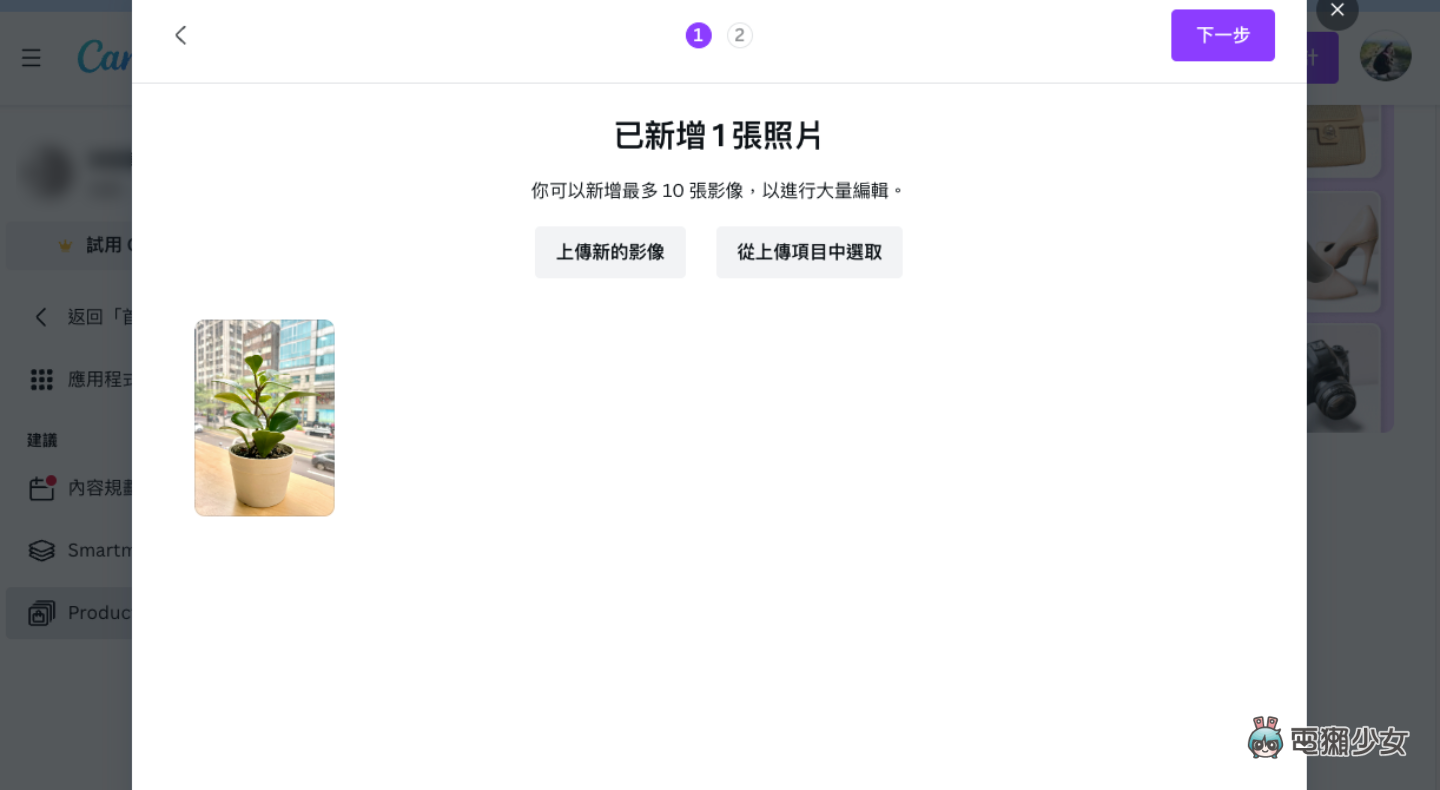 Canva 可以这样用？ 超简单实用小技巧 教你快速生成产品图！