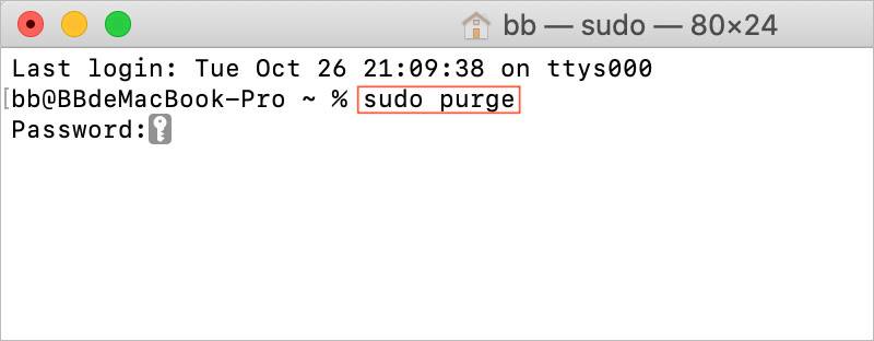 sudo purge