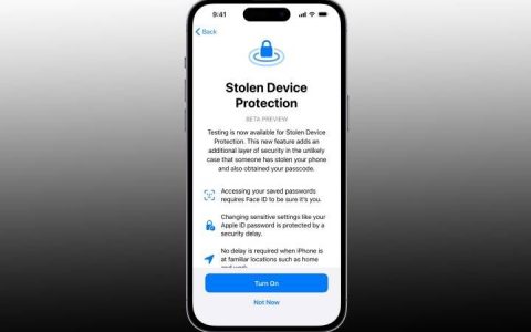 iPhone将推出“防盗保护”功能：Access保存过密码的App需通过Face ID认证！