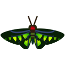 动森-红颈凤蝶